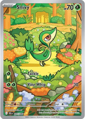 #087 Snivy