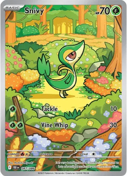 #087 Snivy
