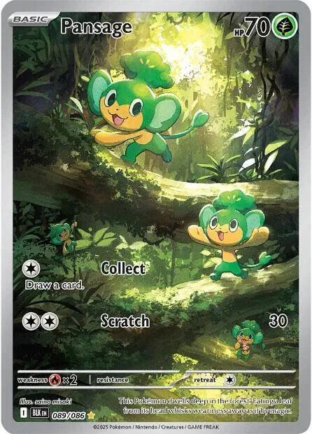 #089 Pansage