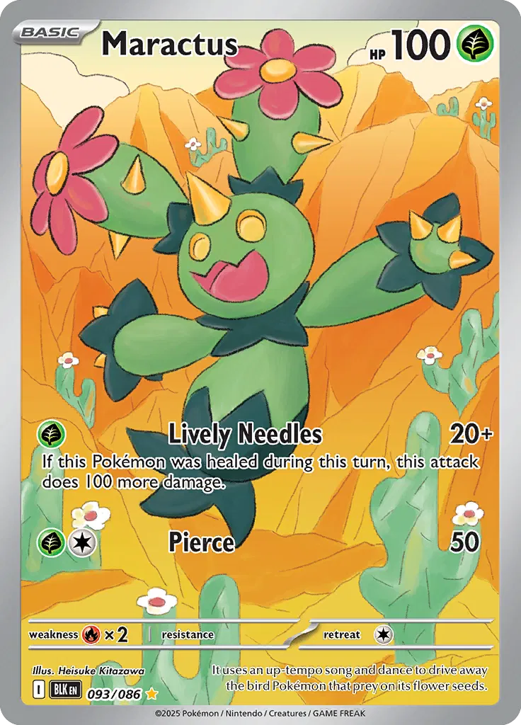#093 Maractus