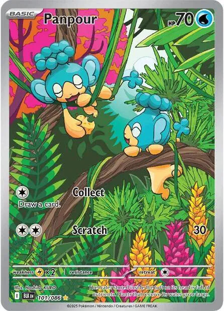 #101 Panpour