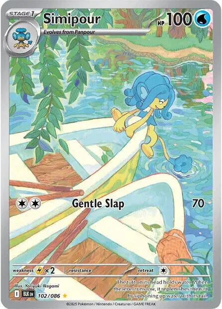 #102 Simipour