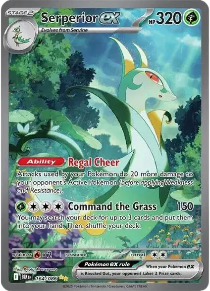 #164 Serperior EX