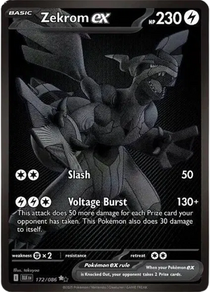 #172 Zekrom EX