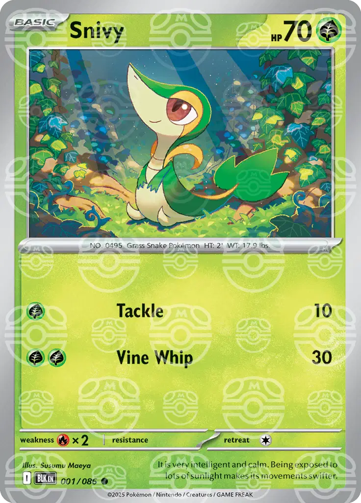 #001 Snivy
