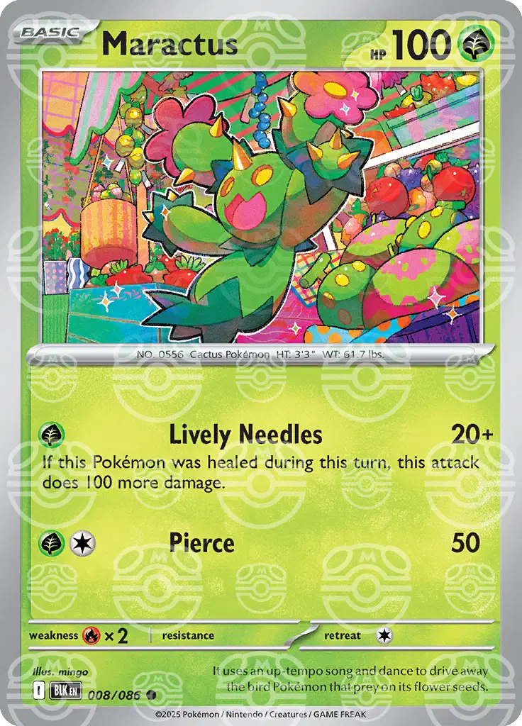 #008 Maractus