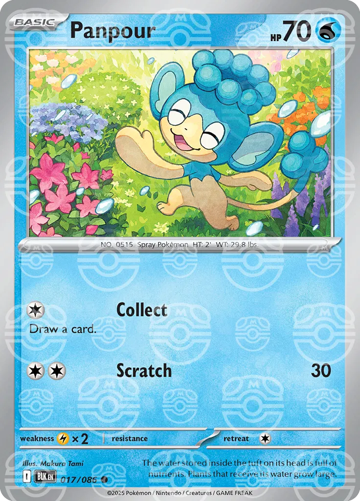 #017 Panpour