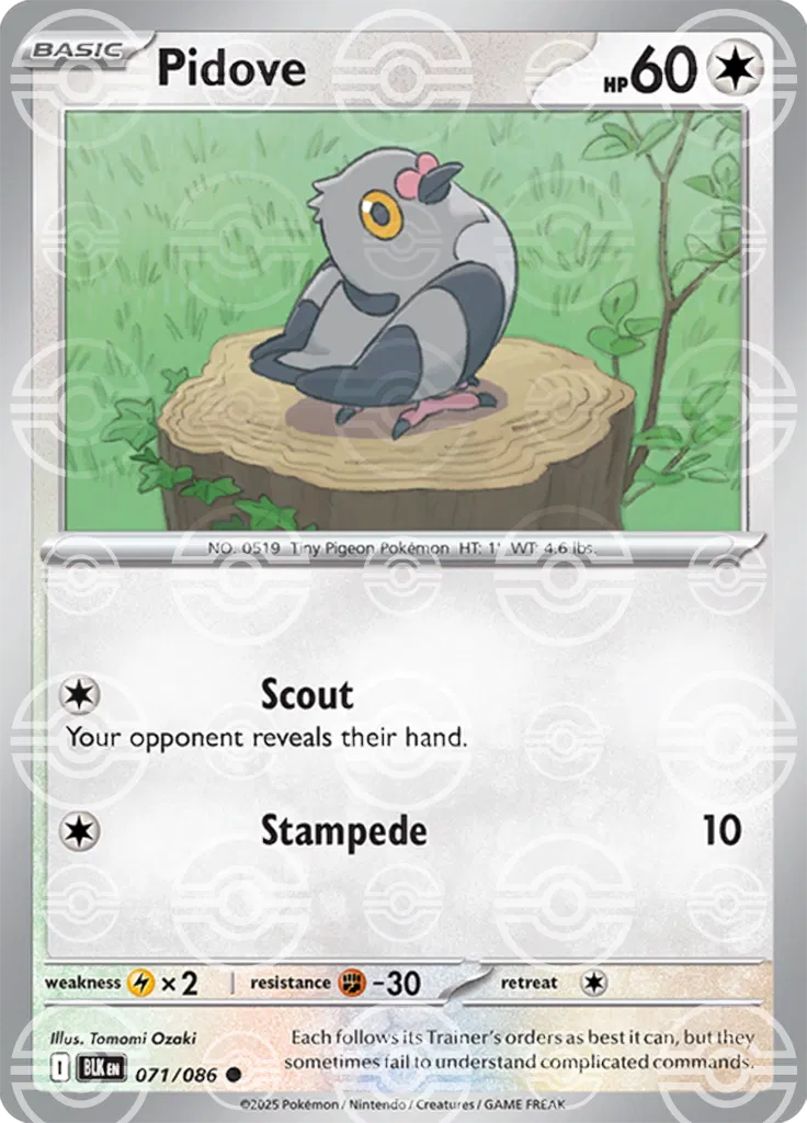 #071 Pidove