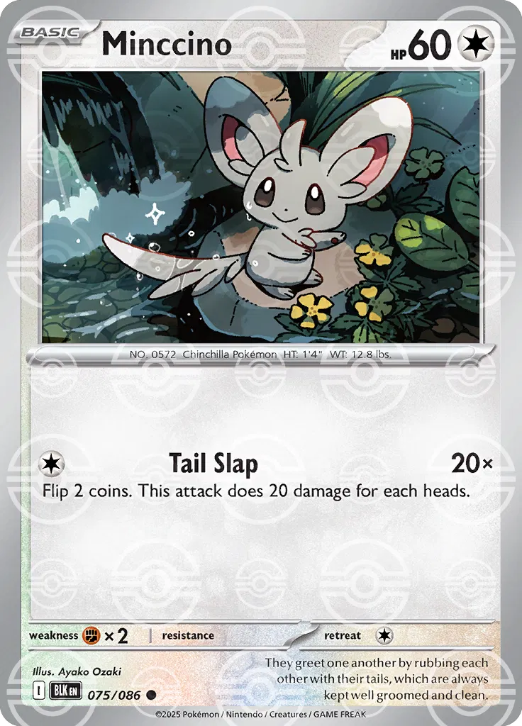 #075 Minccino