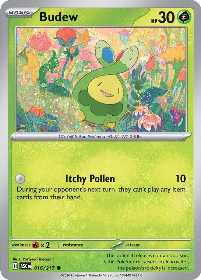 #016 Budew