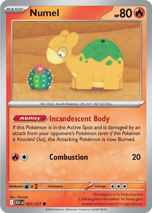 #027 Numel