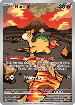 #223 Numel