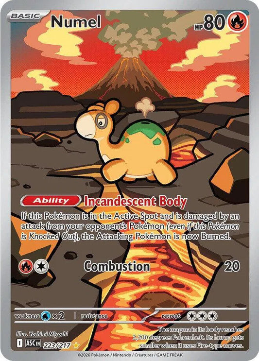 #223 Numel
