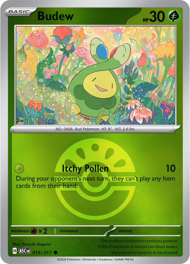 #016 Budew