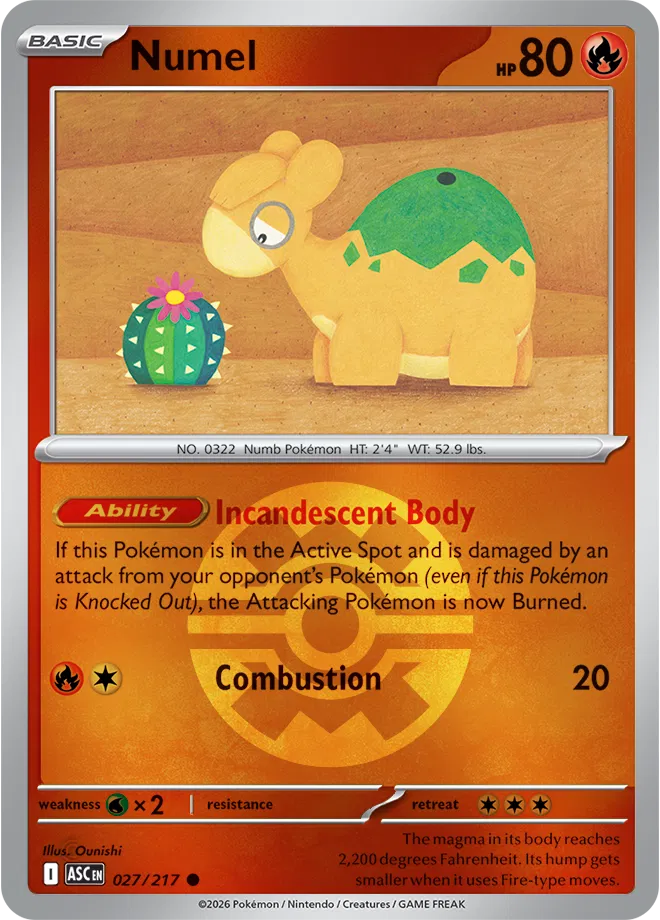#027 Numel