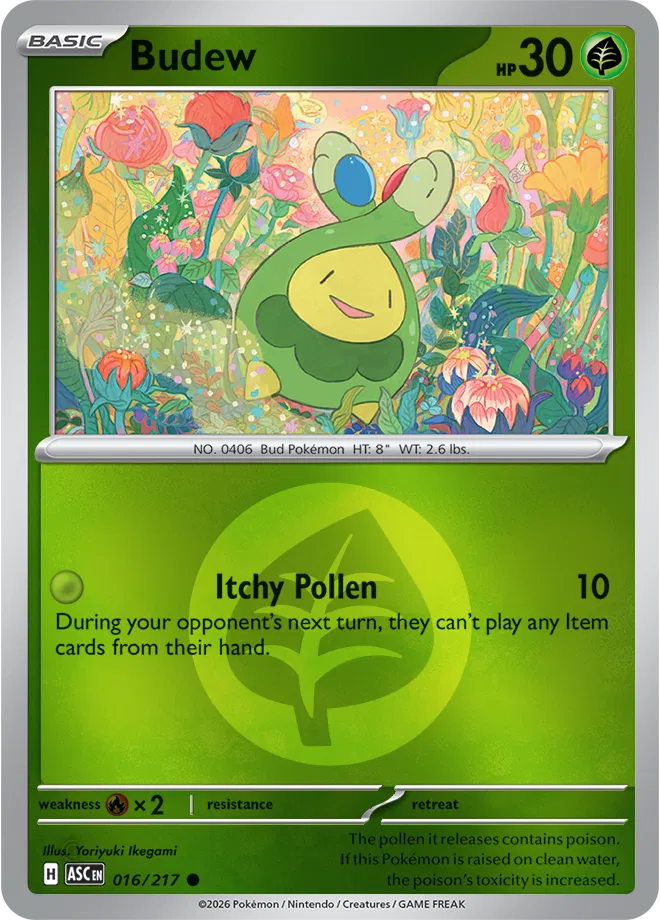#016 Budew
