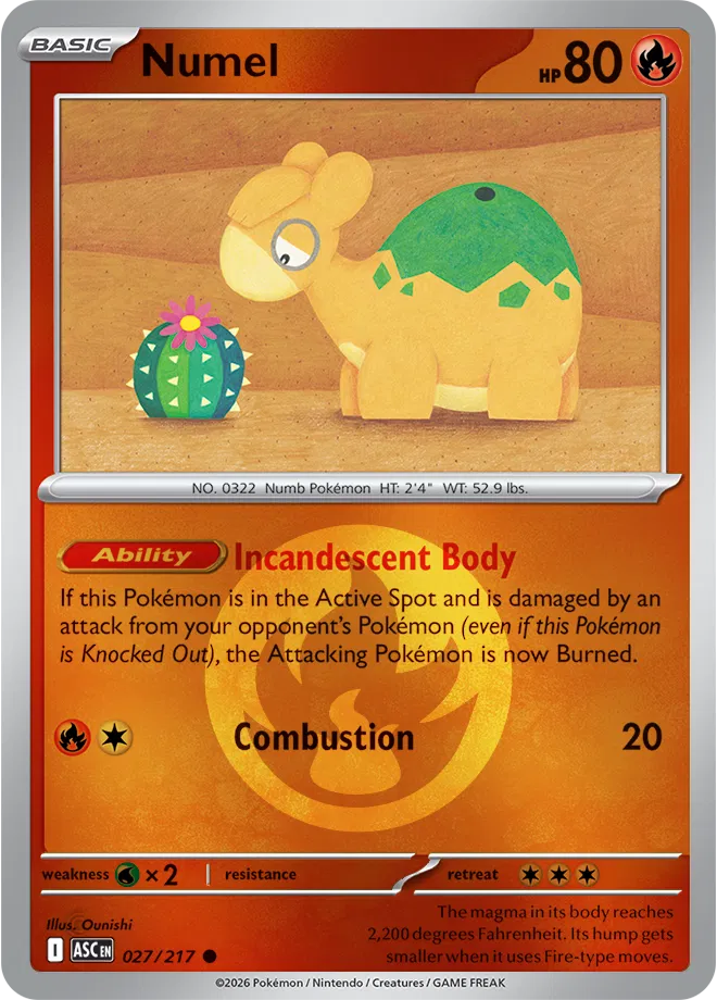 #027 Numel