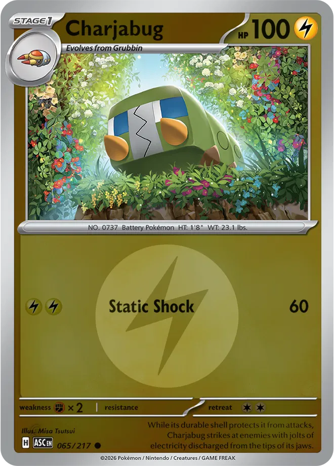 #065 Charjabug