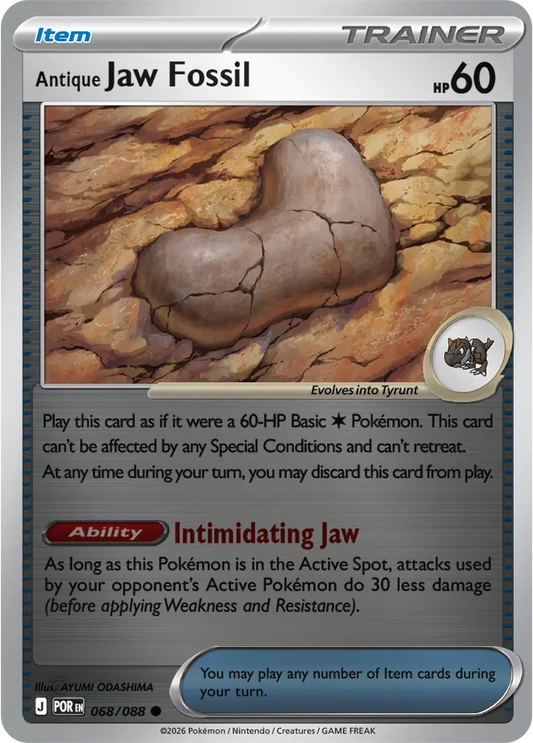 #068 Antique Jaw Fossil
