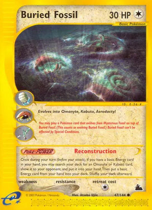 #047 Buried Fossil