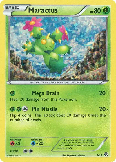 #002 Maractus