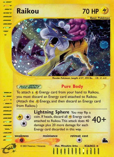 #028 Raikou
