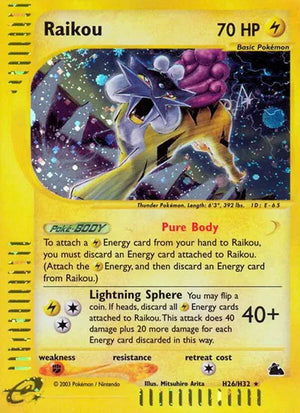 #028 Raikou
