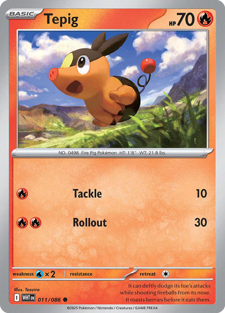 #011 Tepig