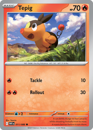 #011 Tepig