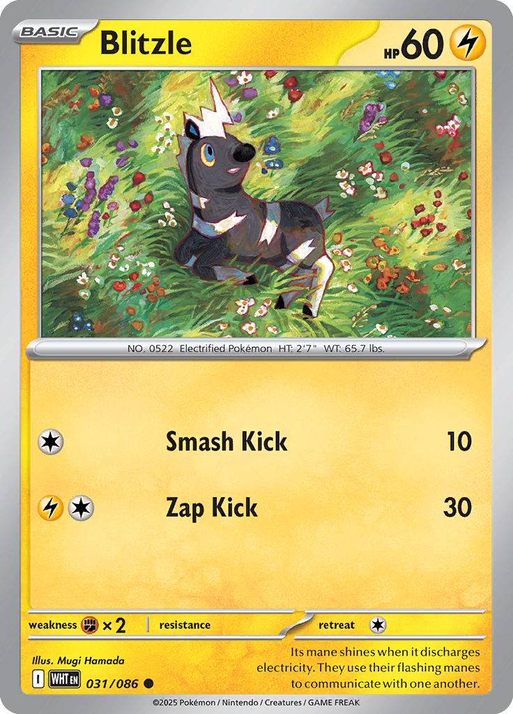 #031 Blitzle