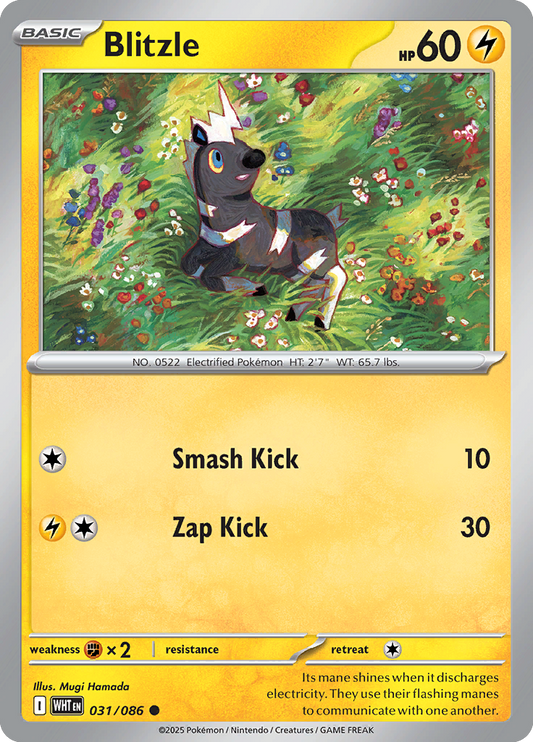 #031 Blitzle