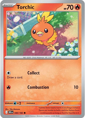 #040 Torchic