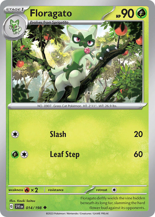#014 Floragato