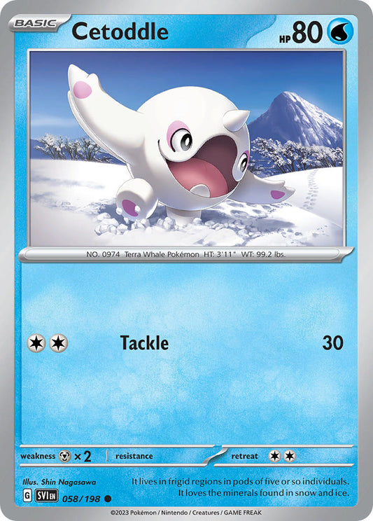 #058 Cetoddle