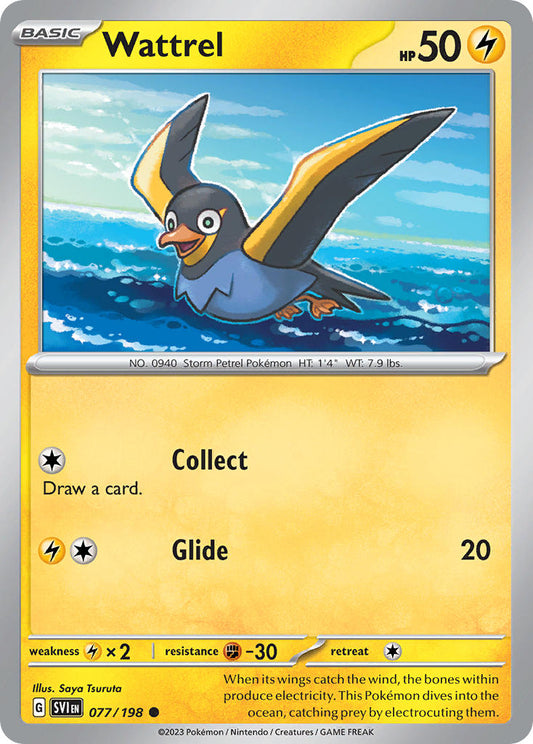 #077 Wattrel