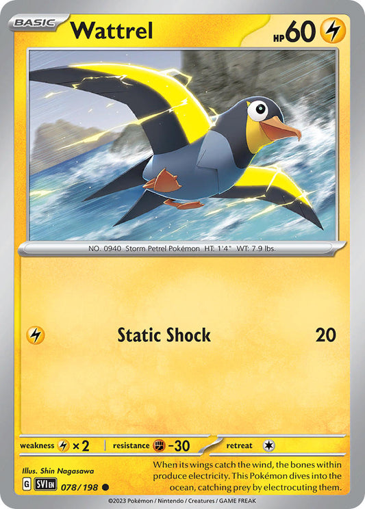 #078 Wattrel