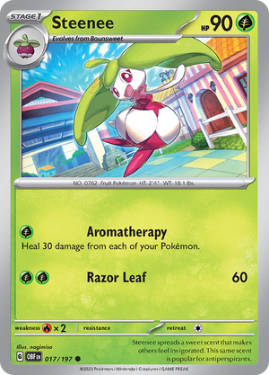 #017 Steenee