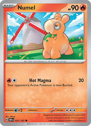 #031 Numel