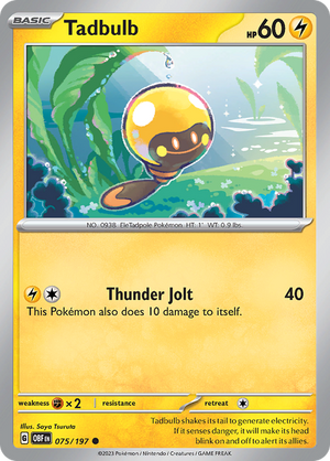#075 Tadbulb