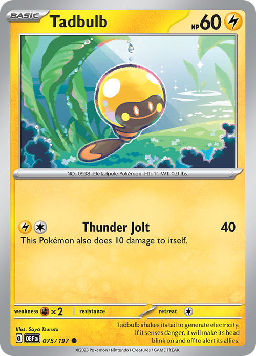 #075 Tadbulb