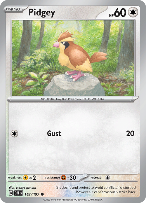 #162 Pidgey