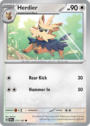 #171 Herdier
